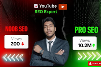 be your youtube seo expert to rank videos and grow channel