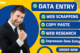 do data entry, copy paste, web research, data scraping and product listing