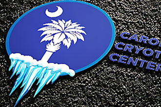 do realistic spa, massage, beauty, physical therapy logo and any graphic design