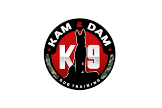 design dope dog training logo