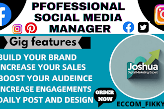 be your social media manager google ads facebook ads website development