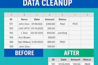 do excel and google sheets data cleanup, formatting, and validation
