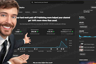 audit, optimize and create strategy for your youtube channel