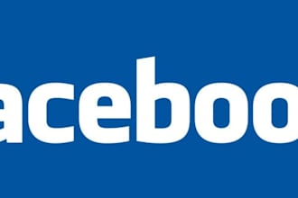 give you 20 Facebook posts on your targeted pages with proof