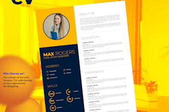professionally designed and formatted resume CV