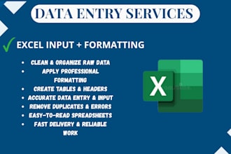 do data typing, excel formatting and data structuring
