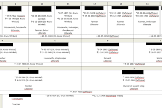 create a family tree of your belgian or dutch family
