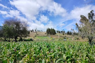 diseñaré huertos agroecológicos educativos y sostenibles