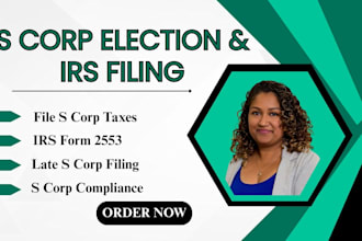 handle your s corp election, annual irs filings, late filing and full compliance