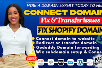 connect domain, godaddy to shopify, squarespace, wix, transfer issue, dns setup