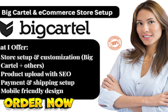 design, set up and optimize your big cartel or other ecommerce store