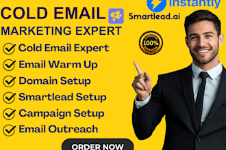 setup smartlead ai and instantly ai cold email outreach and optimized campaigns