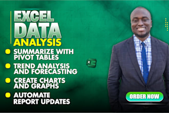 perform excel data analysis with charts and insights