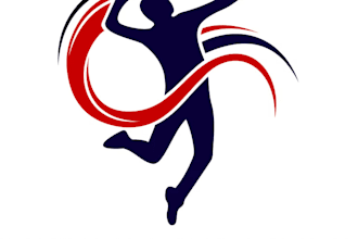 design a professional volleyball logo for your team, club, or brand
