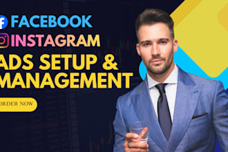 setup facebook and instagram ads campaigns, management