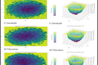 molecular dynamic simulation and molecular docking
