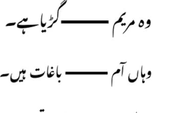teach you all the basics of urdu