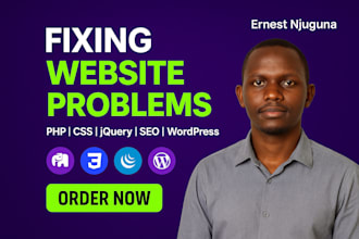 fix website bugs related to PHP, CSS, jquery, SEO and wordpress