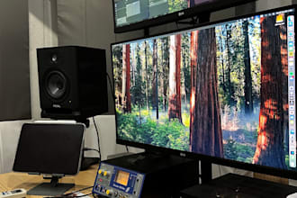 deliver professional korean native voiceover services