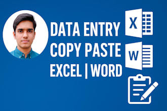 do expert data entry copy past