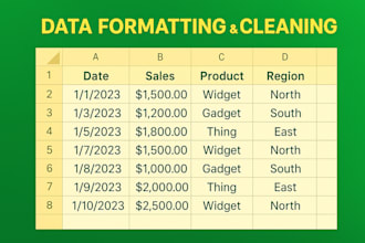data entry, data cleaning and formatting, manual data entry