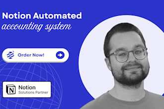 set up a financial accounting system in notion