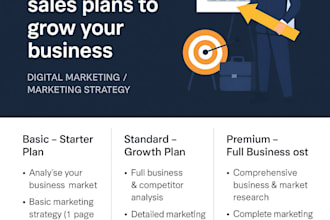 marketing strategy  sales consulting
