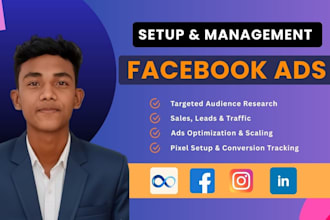 setup facebook and instagram ads campaign, fb ads, and meta ads management