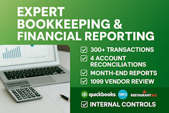 do professional bookkeeping in quickbooks, xero, and excel