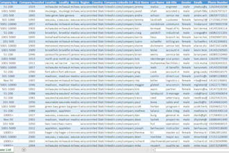 deliver you 3 million USA business emails database list