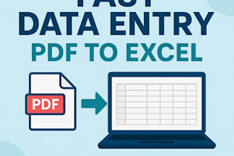 do data entry, fast typing for your project