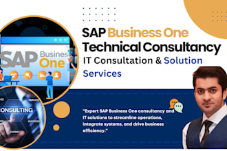 provide you with consultation on sap b1 and IT development