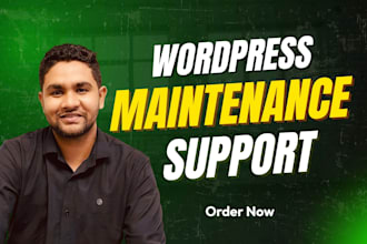 provide wordpress website maintenance and support