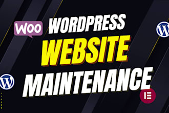 provide elementor wordpress website maintenance, updates, and support