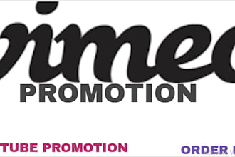 do fast organic youtube video promotion by google ads