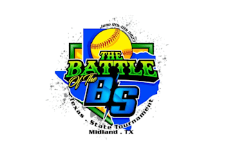 create attractive and imagination softball logo design