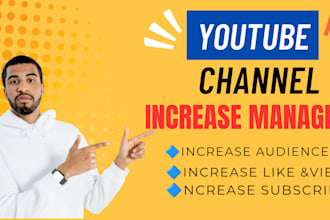 optimize and manage your youtube channel for steady growth