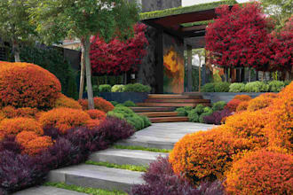 draw a realistic landscape design, garden pool patio