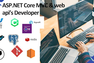 build asp net core web applications apis and dashboards
