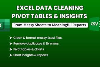 clean excel data, pivot tables, and insights