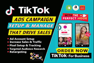 boost your website traffic with organic social media and tiktok ads promotion
