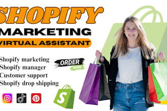 setup and manage shopify facebook ads and instagram ads