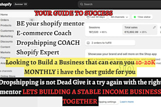 be your shopify mentor dropshipping coach ecommerce consultant shopify coach