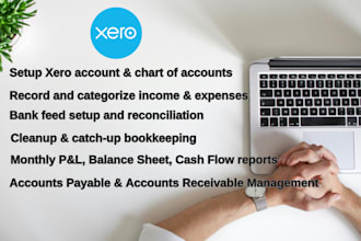 be your professional xero bookkeeper for accurate reports