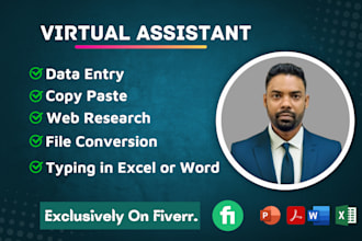 data entry, copy paste, PDF to excel, web research