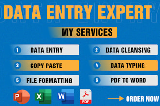 do fast typing services, copy paste, format word documents