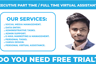 be your remote virtual assistant for data entry admin tasks