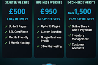 build a professional business website with hosting