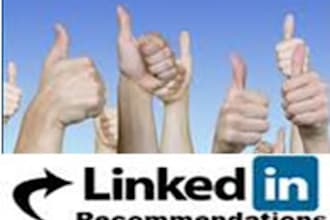 create you a Aplus SEO LinkedIn recommendation from a  verified business owner