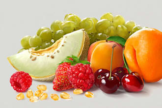 illustrate digitally realistic fruits or veggies